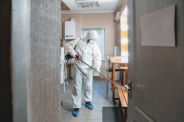 Best Industrial Mold Remediation  in New Whiteland, IN