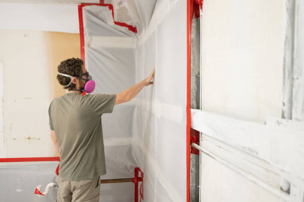 Trusted New Whiteland, IN Mold Removal Experts
