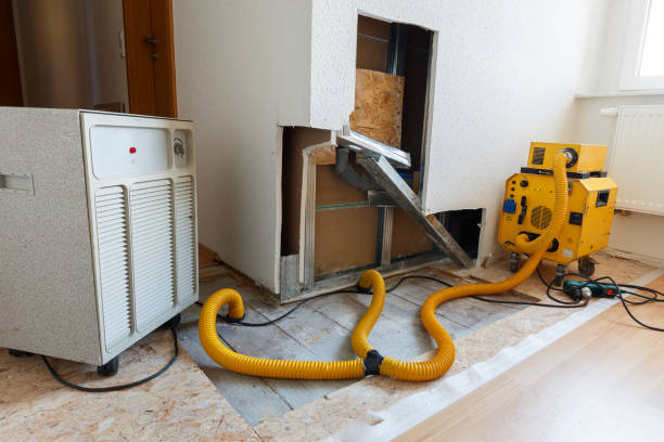 Best Emergency Mold Remediation  in New Whiteland, IN