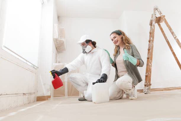 Best Comprehensive Air Testing for Mold Contaminants  in New Whiteland, IN